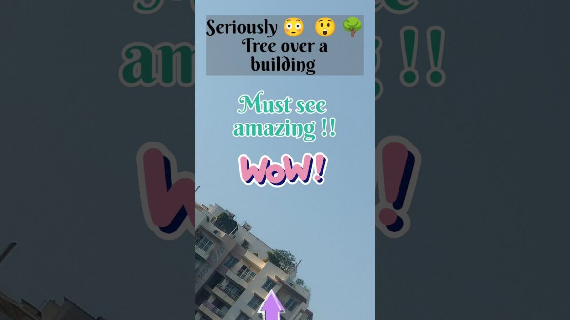 Tree built on Building |shocking !!🤷♂️😶Tree on top of building #shorts #youtubeshorts #shortsvideo Tree built on Building |shocking !!🤷♂️😶Tree on top of building #shorts #youtubeshorts #shortsvideo