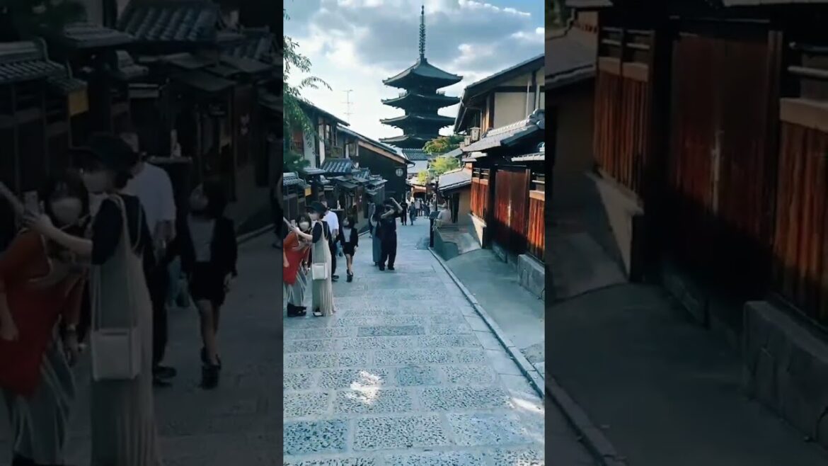 I love the scenery ⛩️🎎🎐 #japantravel #kyoto #short #shorts #travel #vacation #explore #shortsfeed