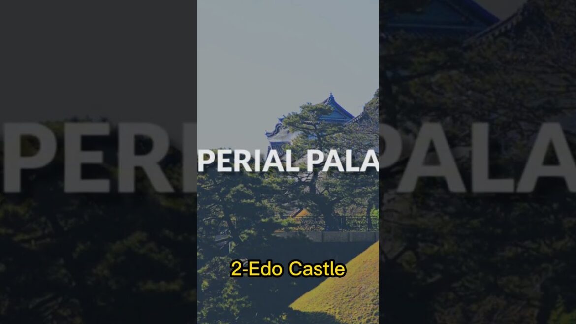 3 Points in Tokyo/Japan to visit on vacation. #shorts #tokyo #travel