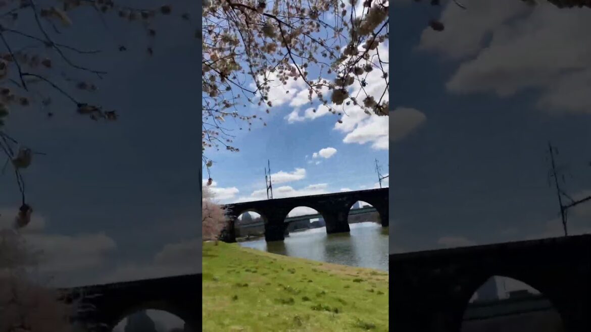 First Day of Spring! 🌸 #shorts