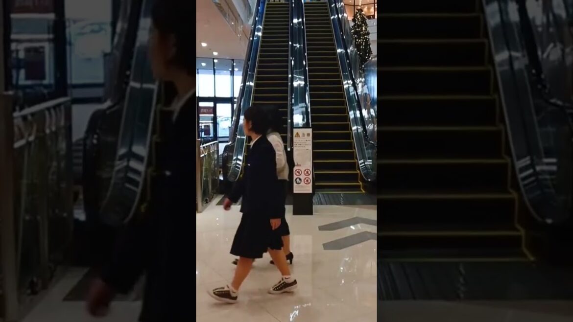2基 イオンモール高岡  上りと下りの エスカレーター ⑥ 【Escalator】AEON MALL 2基 イオンモール高岡  上りと下りの エスカレーター ⑥ 【Escalator】AEON MALL
