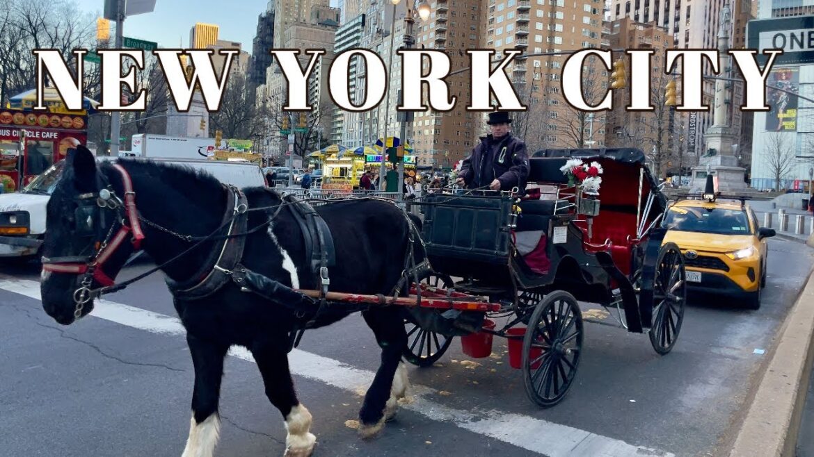 🇺🇸 New York City Live(03.26.23)🗽 Sunday Morning Walk in Central Park☀️