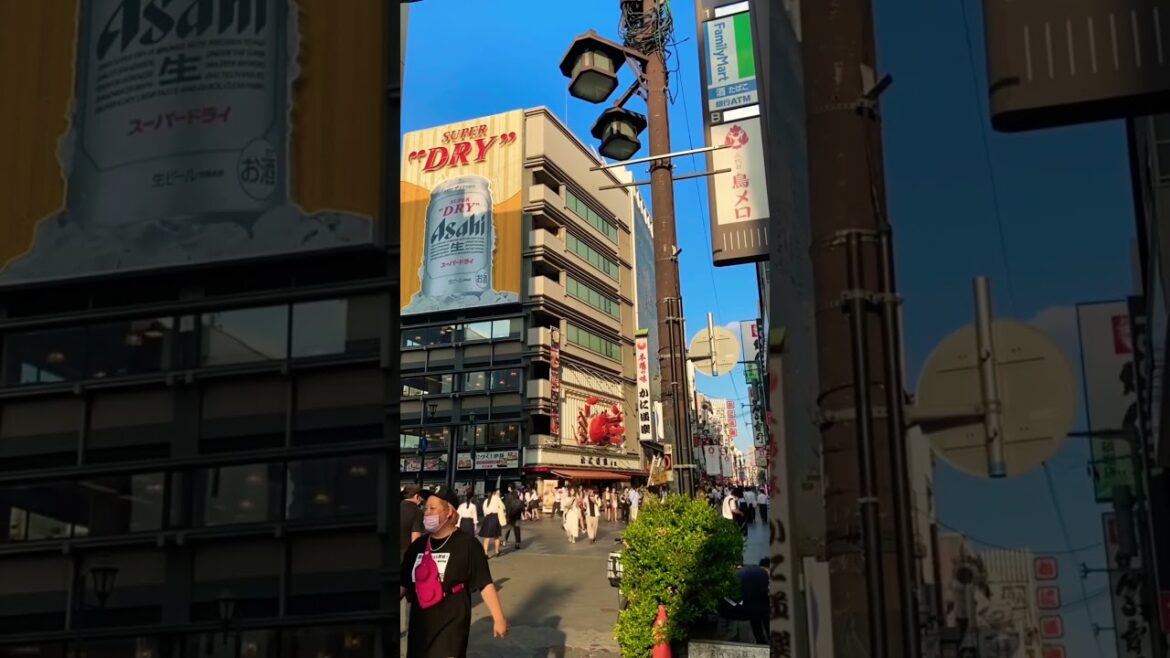 Osaka ☀️ day & 🌙 night #osaka #japan #dotonbori #shinsaibashi #shorts #travel #street #teddytedted