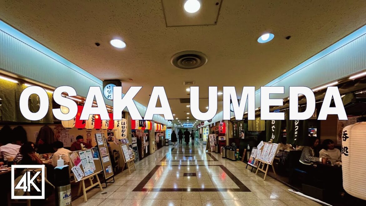 大阪梅田の駅前ビル地下街を歩く 4K Walking in the Underground mall in Osaka Umeda Station building 大阪梅田の駅前ビル地下街を歩く 4K Walking in the Underground mall in Osaka Umeda Station building