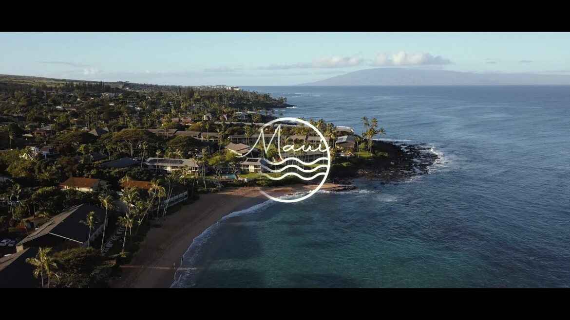 Maui, Hawaii | Travel Film - Insta360 1-inch, Fujifilm XT4, DJI Mavic Pro, DJI Pocket 2