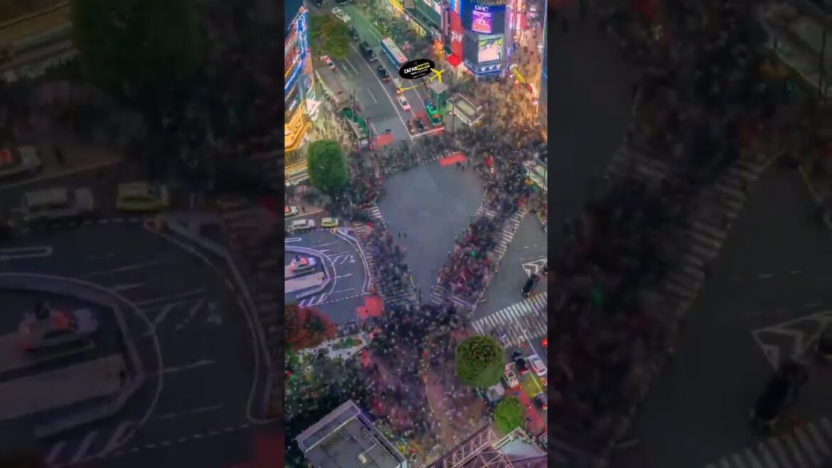 | Japan tourist attractions | Tokyo | | Japan tourist attractions | Tokyo |