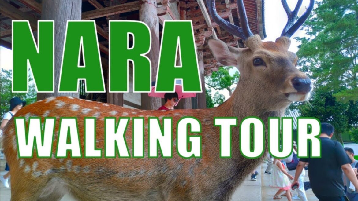 🇯🇵 Nara Deer Park | Japan Walking Tour 4K 🦌