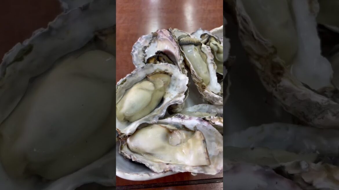 岡山県カキオコの街で「牡蠣と海鮮丼を食べました」 #shorts