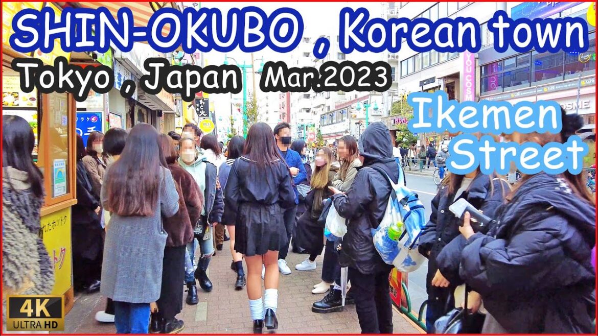 walk in Shin-okubo – Tokyo walk 4K,Japan walk in Shin-okubo - Tokyo walk 4K,Japan