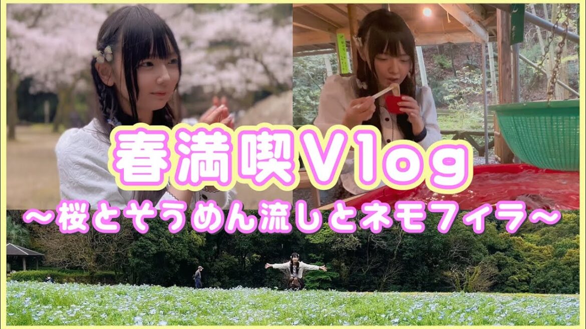 【Vlog】そうめん流しと桜とネモフィラ～春を巡る旅～【慈眼寺公園/Kagoshima Trip】