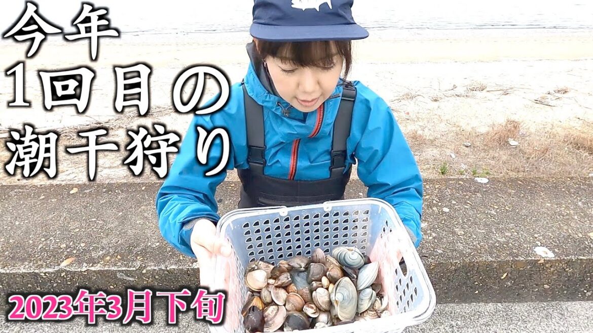 今年初！愛知県に潮干狩りに行ってきてとれた貝はなんでしょう？