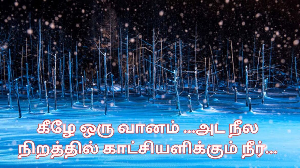 The Bei Blue Pond in Hokkaido.