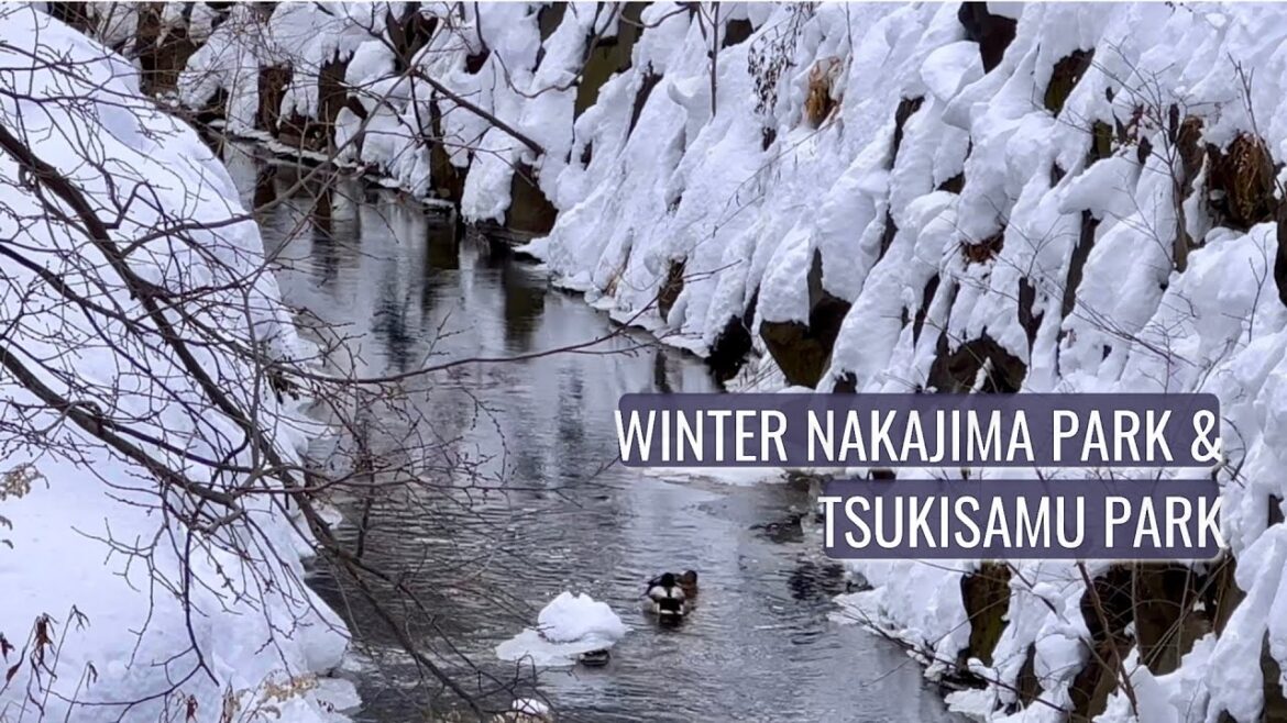 Strolling Through the Snowy Magic of Nakajima Park in Hokkaido!