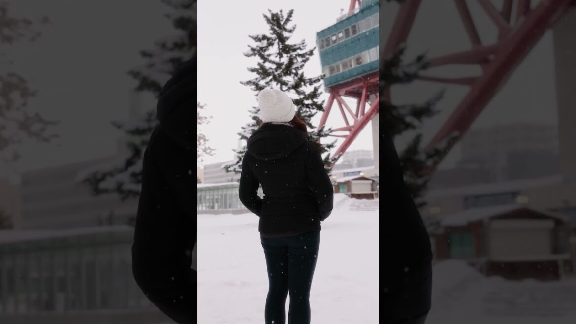 JAPAN TRAVELS - This is why we must go back!