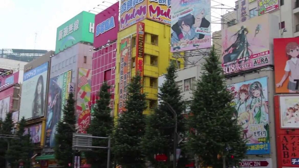 My Trip to Japan, 2013