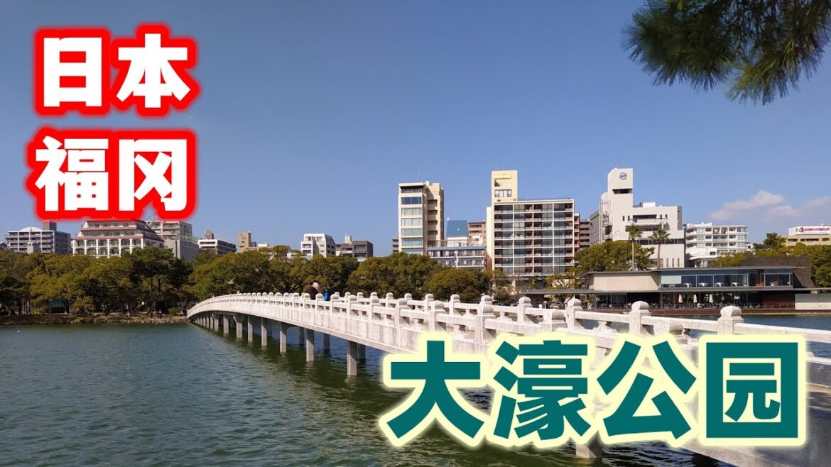 【日本福冈10】游览福冈大濠公园，这座公园是仿杭州西湖而建，周边环境非常优美 | Visiting Ohori Park in Fukuoka