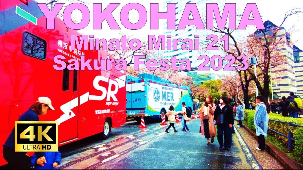 【4K🇯🇵】Yokohama Walking Tour - Minato Mirai 21 Sakura Festa 2023