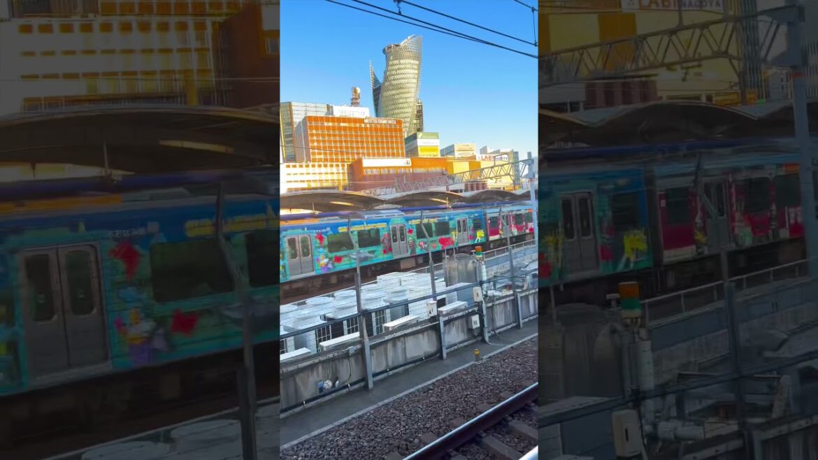 Japan  high speed / redtrain/ JAL #shortfeed  #shorts#traveling#train#nagoya#travel #crossing