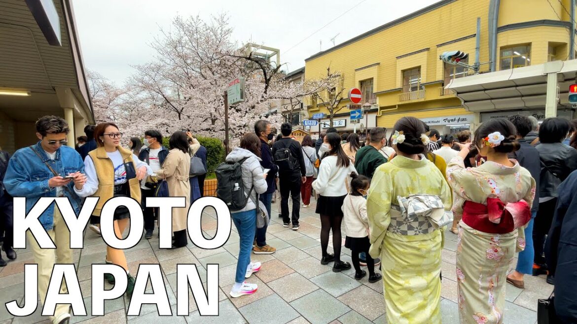【4K】Kyoto walking in spring | JAPAN 2023 【4K】Kyoto walking in spring | JAPAN 2023