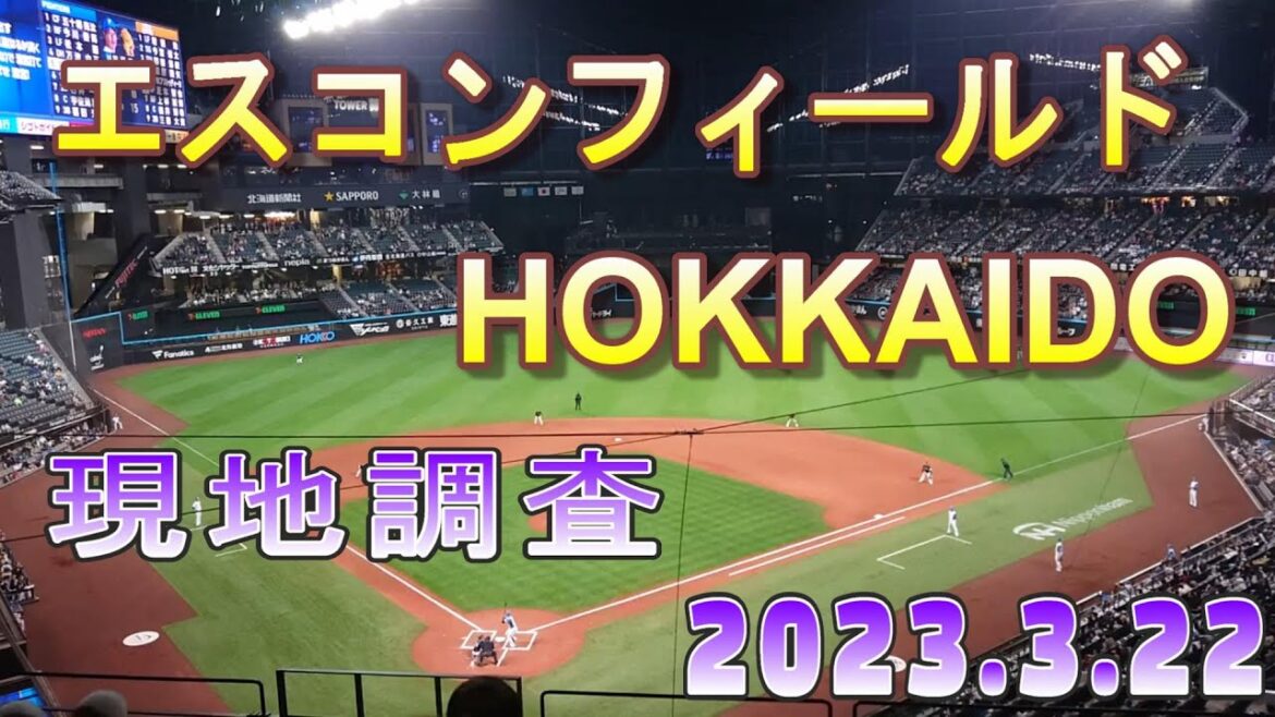エスコンフィールド　HOKKAIDO　内部調査