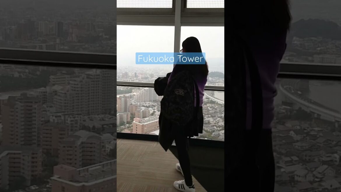 Fukuoka Tower || Fukuoka, Japan 🇯🇵 #shorts #shortsyoutube Fukuoka Tower || Fukuoka, Japan 🇯🇵 #shorts #shortsyoutube