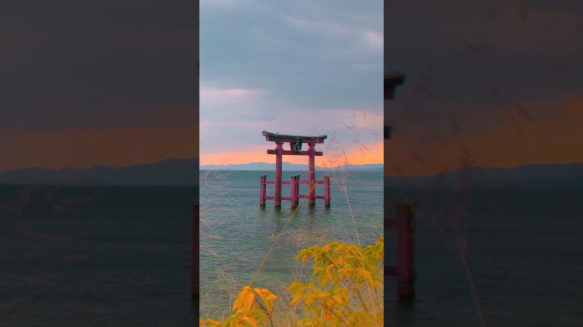 Stunning Torii gate near Kyoto Lake Biwa | Amazing Japan Travel Adventure Documentary Stunning Torii gate near Kyoto Lake Biwa | Amazing Japan Travel Adventure Documentary