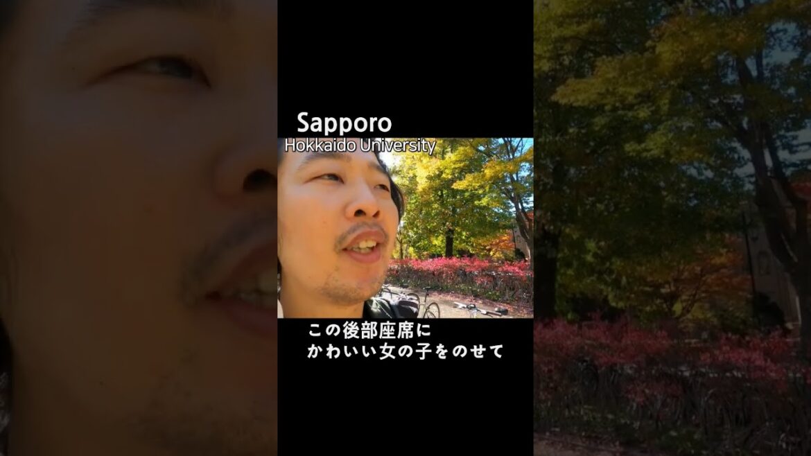 やっぱり日本は自転車に国ですね