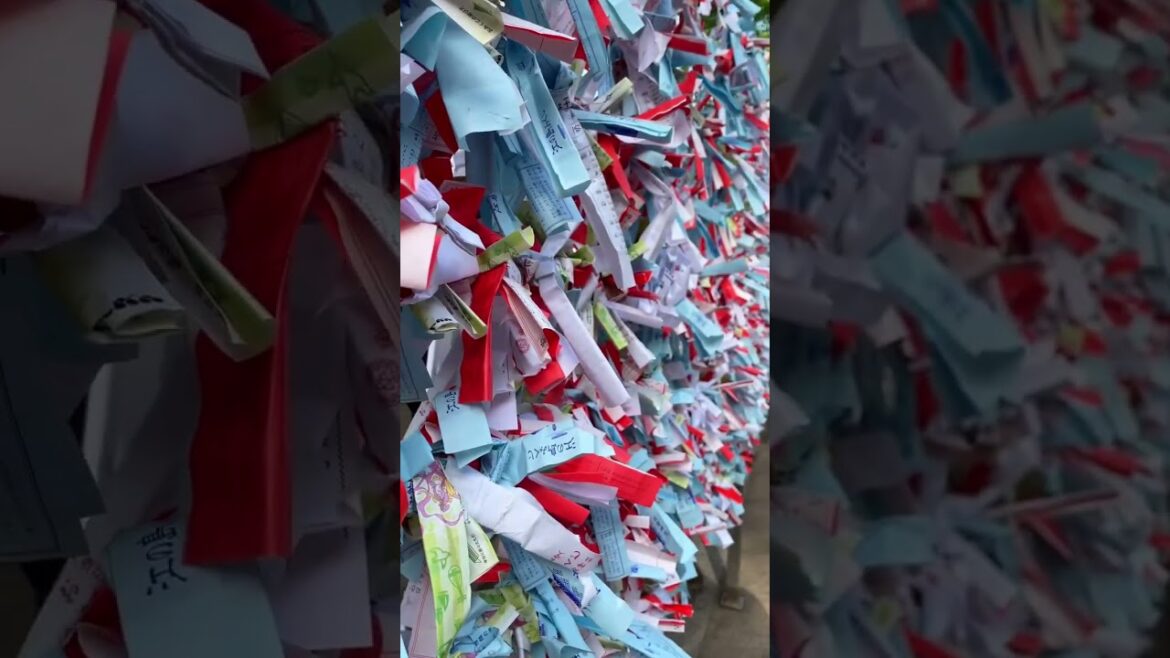 ☀️Best day trip to explore Enoshima