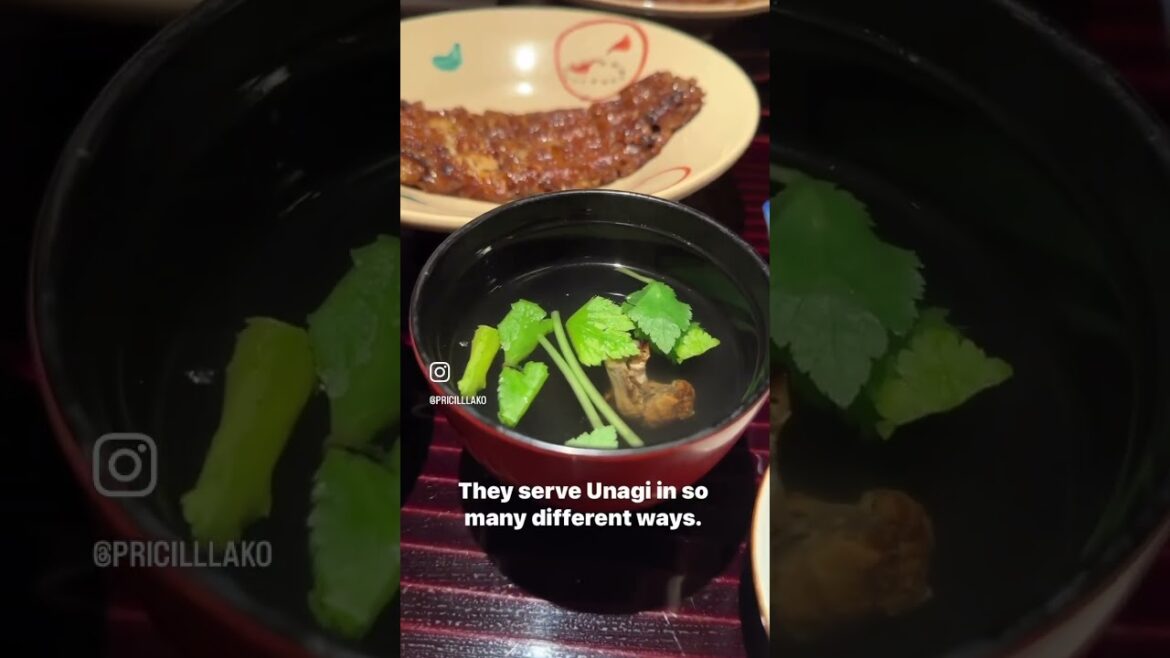 WOULD YOU TRY UNAGI (eel) LIVER?! | FOODS TO TRY IN JAPAN 🇯🇵🤤 #japan #travel #foodie