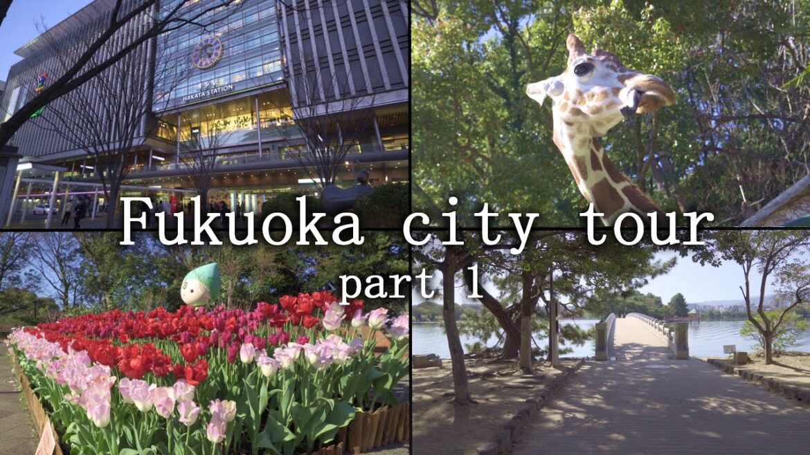 Fukuoka 福岡  city 🇯🇵 tour part 1 // from airport to city // Zoo  & Botanical Garden // Ohori park