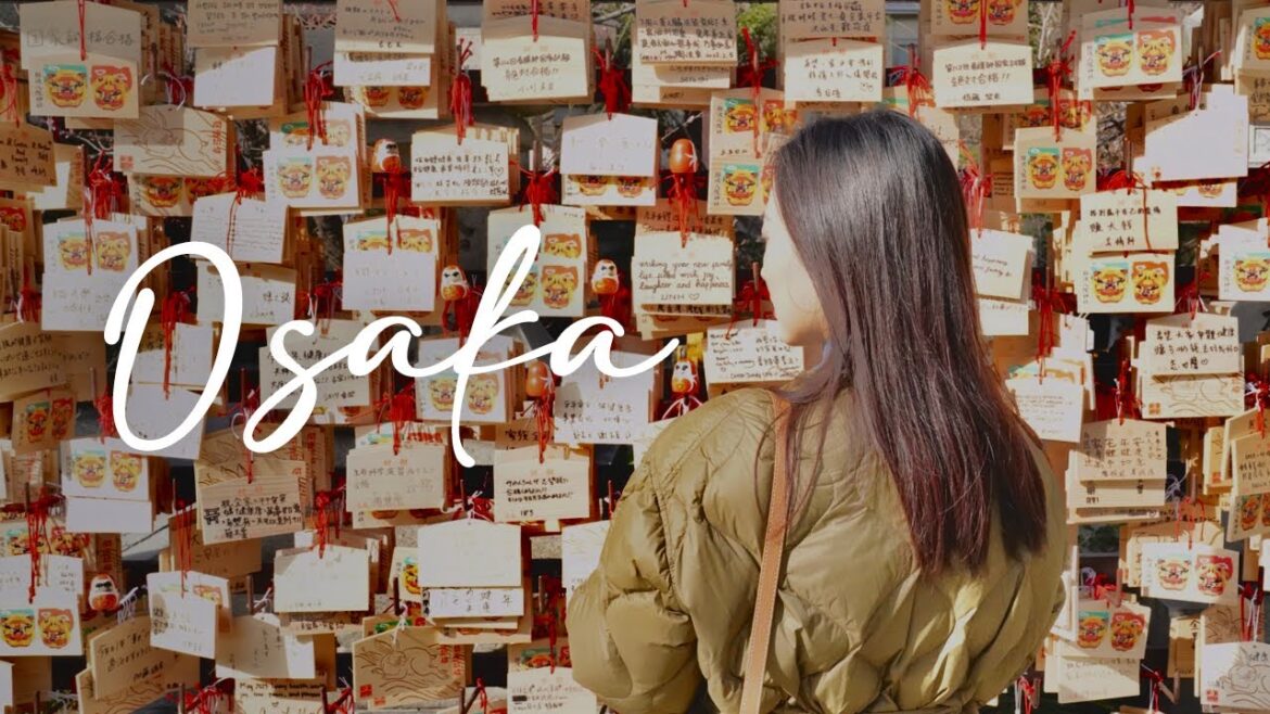 48 hours in Osaka | basically a food tour😌【4K】