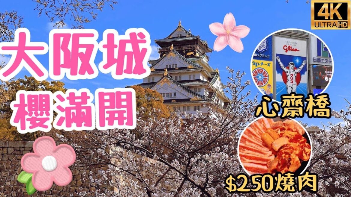 大阪城櫻花滿開2023｜難波心齋橋道頓堀散步吃日幣1000元燒肉！｜超美櫻花隧道｜大阪城居然有那麼多美食像台灣夜市小吃攤｜日本旅遊觀光4KVLOG｜關西大阪自由行必去景點美食#15