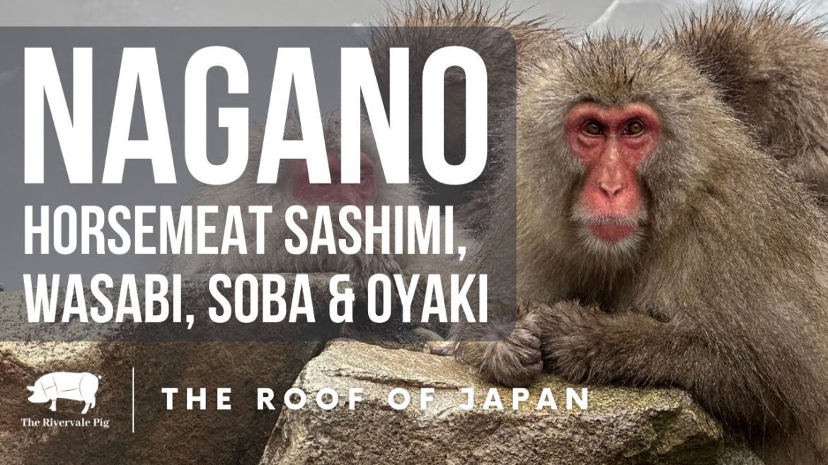 Food and Travel Nagano "The Roof of Japan" | Horse Meat Sashimi, Wasabi, Soba and Oyaki