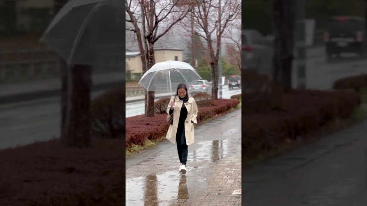 Ohayo, Japan 🇯🇵 | Nova Neri