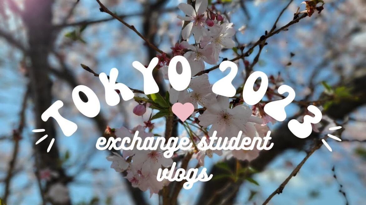 The start of my exchange student journey!🌸Tokyo 2023🌸[ENG SUB]