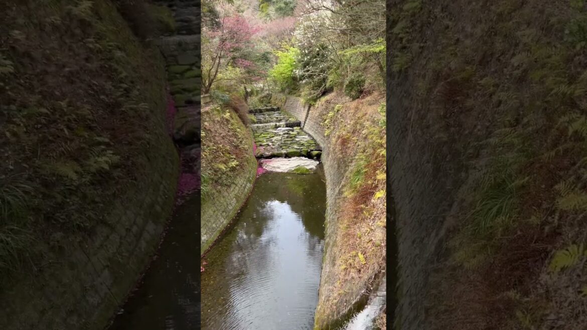 Discovering the Cultural Significance of Sengan-en Gardens in Kagoshima, Japan