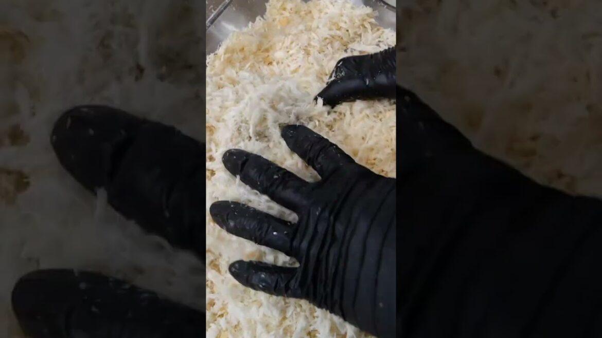 숯불에 구워먹는 숯불 돈까스 / charcoal-grilled pork cutlet - korean street food