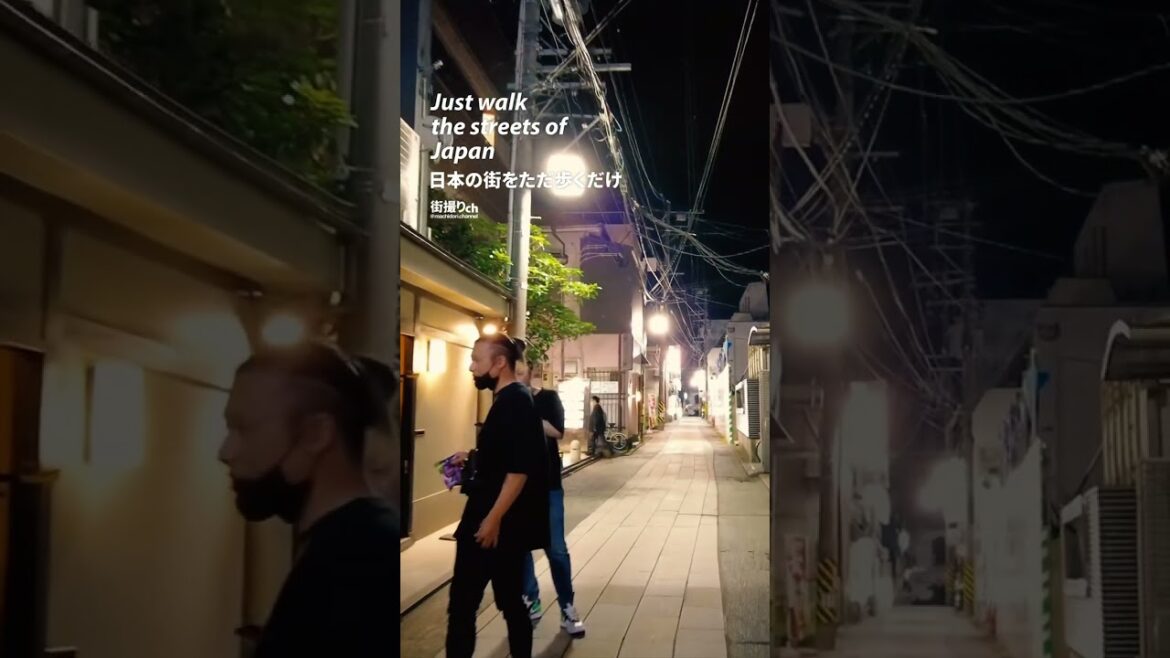 Niigata: Urban Area in Niigata City (新潟市中心街) - Japan Walking Tour #shorts #shortsvideo