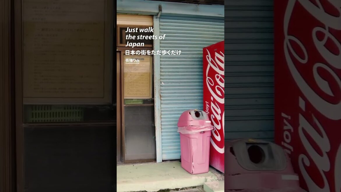 Niigata: Shibata Station (新発田駅) - Japan Walking Tour #shorts #shortsvideo