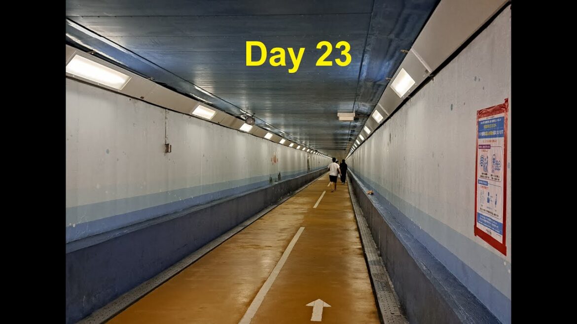 Day 23
