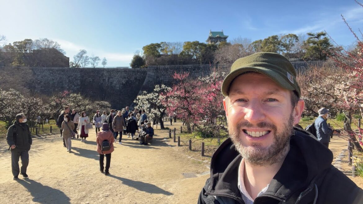 Experience the Stunning Scenery of Plum Blossoms 🌸 at Osaka Castle with a Live Tour from Temmabashi Experience the Stunning Scenery of Plum Blossoms 🌸 at Osaka Castle with a Live Tour from Temmabashi