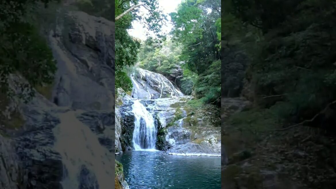 Bicycle ride in Japan, bike through the stunning Nature of Wakayama, starting in Susami town #shorts