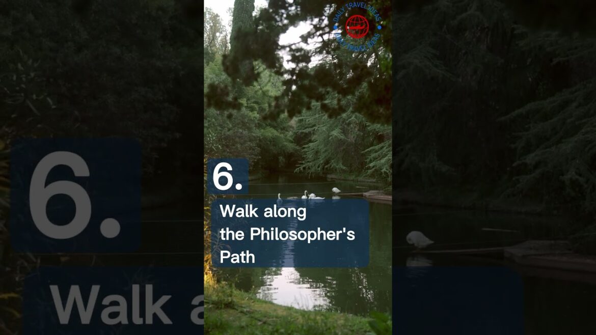 10 Fun Kyoto, Japan Trip Ideas #shorts #travel #vacation #ideas #trip #travelinspiration #japan