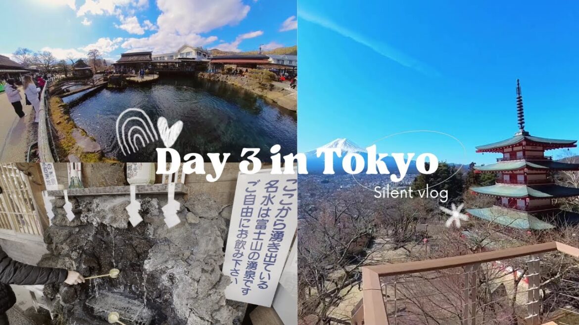 Day 3 in Tokyo | Arakura Fuji Sengen Jinja Shrine 新仓山浅间神社 | Oshino Hakkai 忍野八海