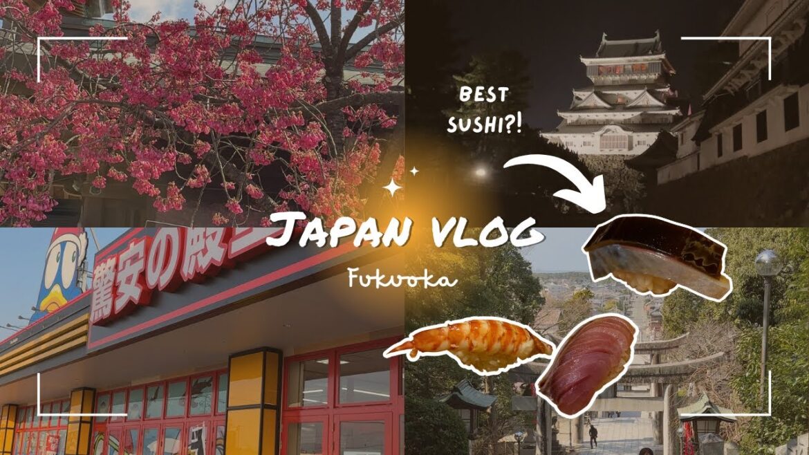 EXPLORING JAPAN | VLOG | FUKUOKA | Cherry Blossoms! sushi, Miyajidake Shrine & etiquette