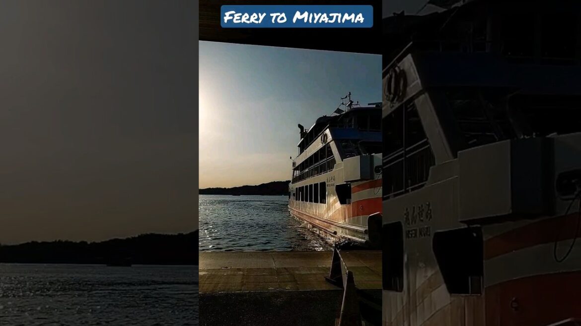 Early morning ferry to sacred Miyajima island #japan #travel