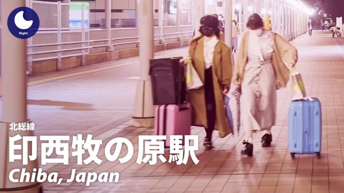 ⁴ᴷ Chiba: Inzai Makinohara Station (印西牧の原駅) – Japan Walking Tour (March, 2023) ⁴ᴷ Chiba: Inzai Makinohara Station (印西牧の原駅) - Japan Walking Tour (March, 2023)