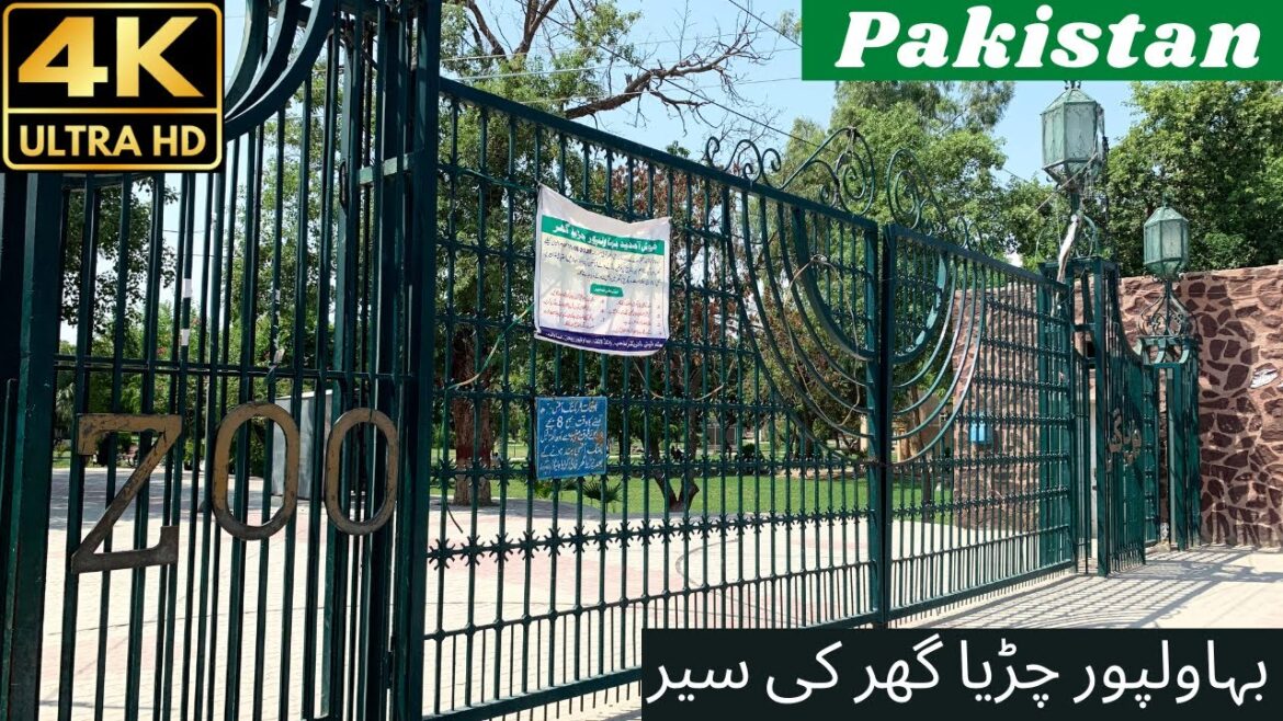 [4K] Pakistan | Walking Tour | Bahawalpur Zoo | Navi Studio |