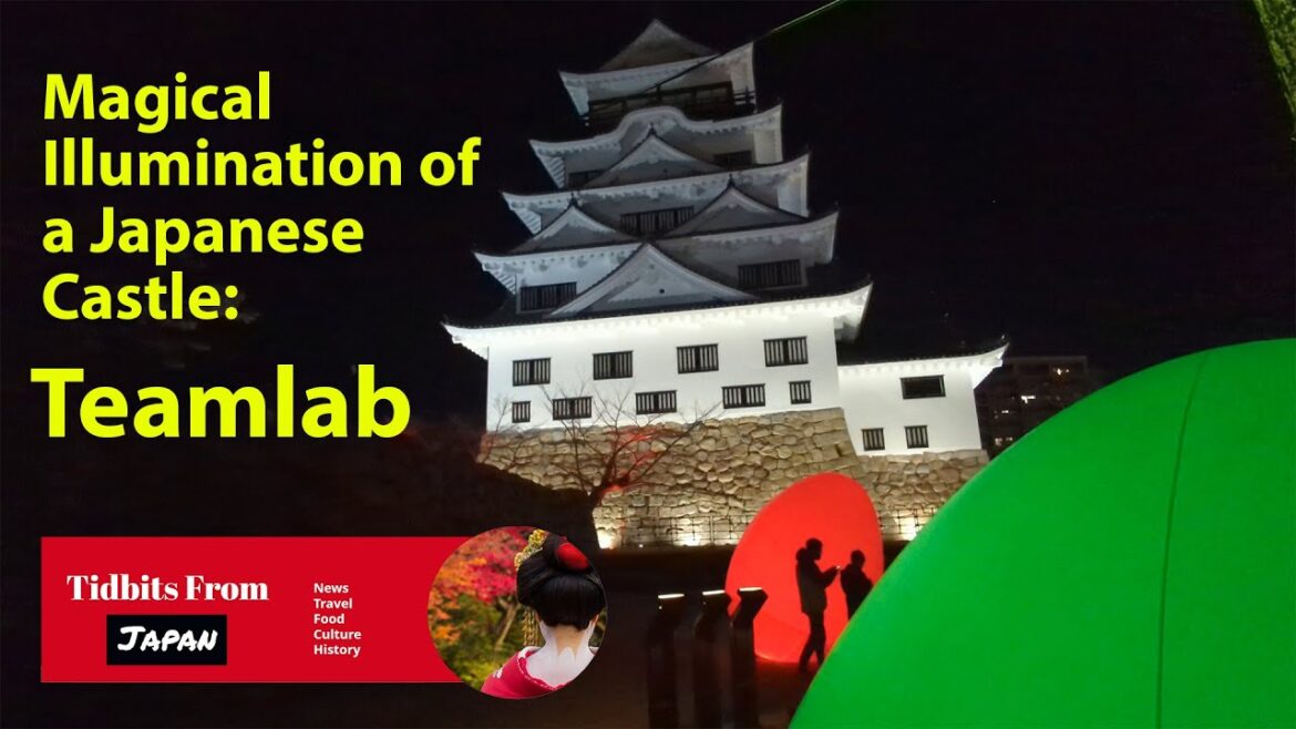 Magical Illumination of a Japanese Castle – Teamlab  😵😍😀