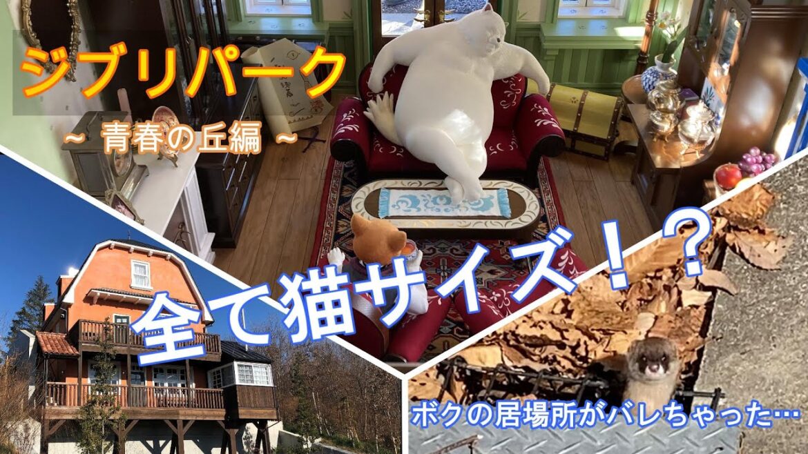 ジブリパークののご紹介／青春の丘編　in NAGOYA